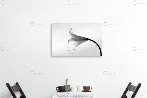 שחור ולבן - שרית סלימן - סלון בסגנון מינימליסטי תמונות סטודיו רקע לבן תמונות בחלקים  - מק''ט: 134516