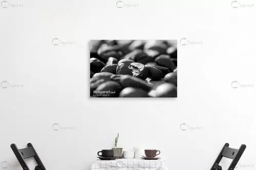 קפה ? - אמיר אלון - מטבח לאוהבי קפה תמונות שחור לבן  - מק''ט: 1412