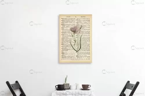 פרג לבן רטרו על טקסט - Artpicked - פרחים בסגנון רטרו  - מק''ט: 330207