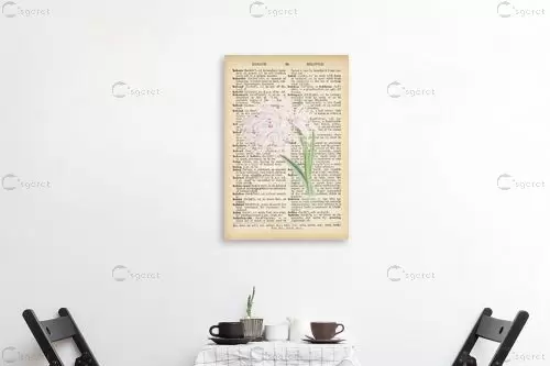 סחלב לבן רטרו על טקסט - Artpicked - פרחים בסגנון רטרו  - מק''ט: 330215