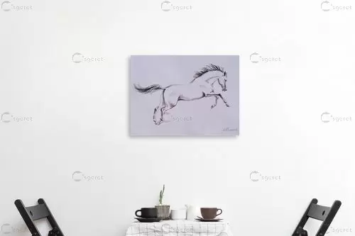 סוס לבן - נטליה ברברניק - איור רישום בשחור ולבן  - מק''ט: 330491