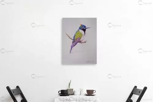 ציפור צבעני - נטליה ברברניק - צבעי מים  - מק''ט: 330613