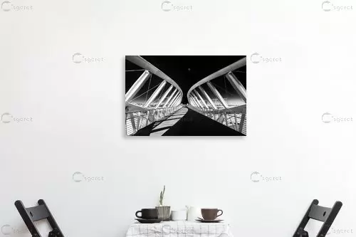 גשר - ניקולאי טטרצ'וק - תמונות אורבניות לסלון תמונות שחור לבן  - מק''ט: 334983
