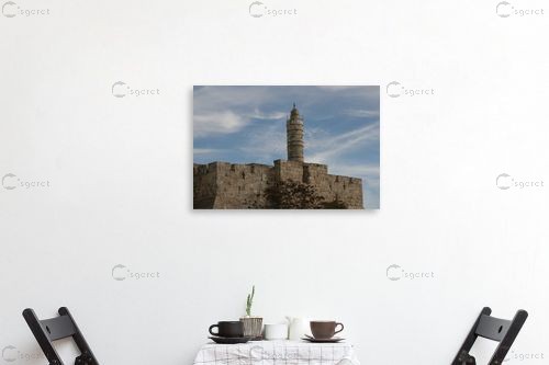 מגדל דוד - אלי נגר -  - מק''ט: 36873