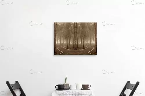 יער קסום - שרית סלימן - תמונות בגוון ספיה  - מק''ט: 36971