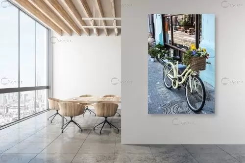 אופניים פרחוניות - רן זיסוביץ - תמונות אורבניות לסלון טבע דומם בצילום  - מק''ט: 201113