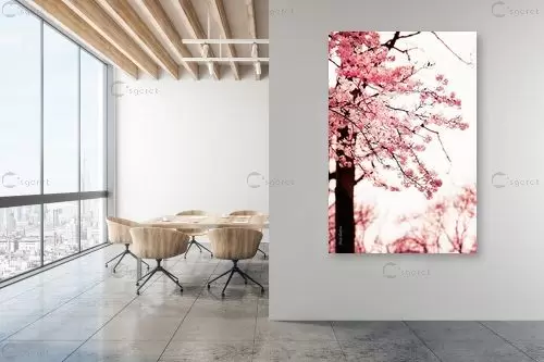 אווירה יפנית - אורית גפני - תמונות לסלון רגוע ונעים  - מק''ט: 389680