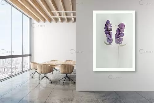 פרחי פעמון - נעמי עיצובים - תמונות לחדר כביסה סטים בסגנון מודרני  - מק''ט: 441224