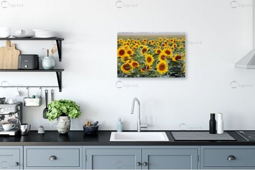 אין מילים... – מיכל פרטיג | תמונה לקיר בסגנון כפרי