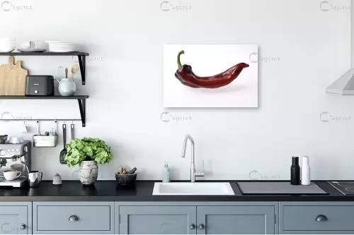 פלפל - אילן עמיחי - תמונות למטבח מודרני תמונות סטודיו רקע לבן  - מק''ט: 124888