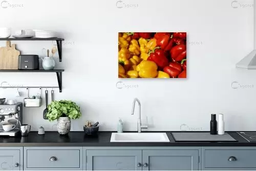 פלפלים – רן זיסוביץ | תמונה לקיר בסגנון מודרני