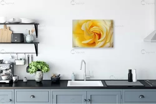 סיחרור צהוב – איזבלה אלקבץ | תמונה לקיר בסגנון מודרני