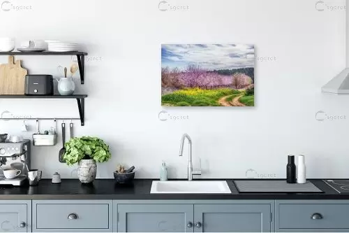 שקדיות בלכיש 1 – אורלי גור | תמונה לקיר בסגנון כפרי