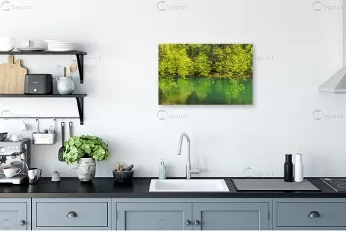 גוונים של ירוק – דורית ברקוביץ | תמונה לקיר בסגנון מודרני