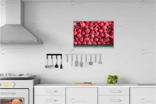 צנוניות – דן ששתיאל | תמונה לקיר בסגנון כפרי