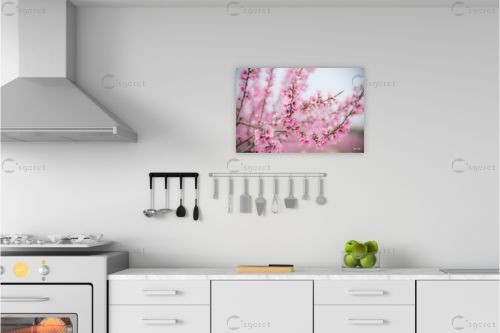 החיים בורוד – שוש אבן | תמונה לקיר בסגנון מודרני