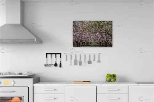 שקדיות – ארז הלוי | תמונה לקיר בסגנון כפרי