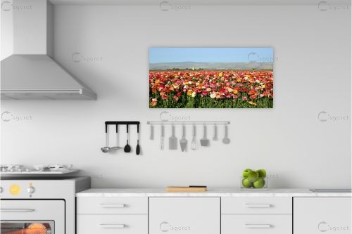 שדה נוריות – מיכל פרטיג | תמונה לקיר בסגנון מודרני