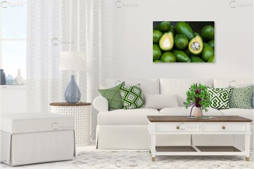 אבוקדו – רן זיסוביץ | תמונה לקיר בסגנון מודרני