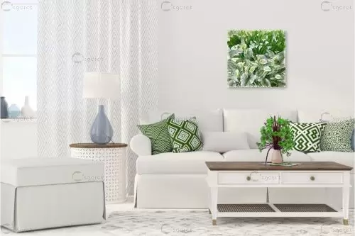 תפילת הכלות – בן רוטמן | תמונה לקיר בסגנון מודרני