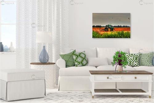 טרקטור וציפורים – מתן הירש | תמונה לקיר בסגנון כפרי