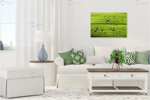 טיפות מגדלת – משה יפה | תמונה לקיר בסגנון מודרני