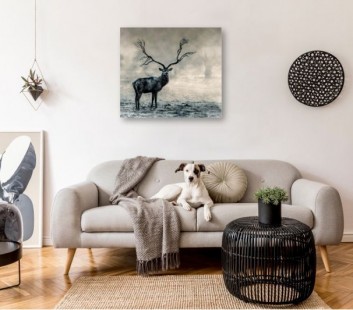 תמונות בסגנון מודרני