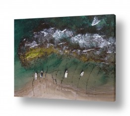 צילומים צילום אווירי | מעגן א זרקא