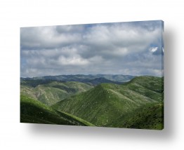 צילומים אילון גליץ | גלים ירוקים