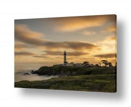 צילומים אילון גליץ | מגדלאור פיג׳ן פוינט