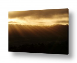 תמונות טבע זריחות | זריחה מוזהבת