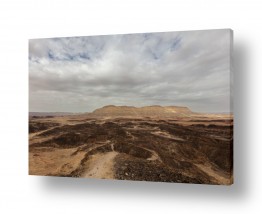 צילומים אילון גליץ | הר ארדון