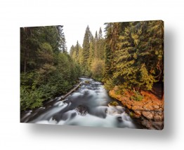 מים נחלים | רחש ירוק