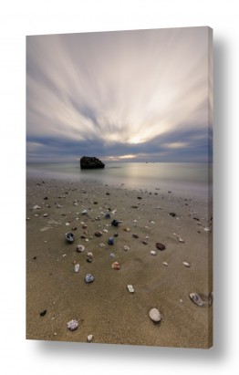 הרים סלעים | צדפים