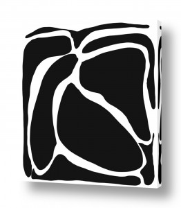 שילובים של צבע שחור שחור לבן | Imperfection