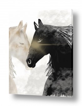 חדרים תמונות לסלון | connection