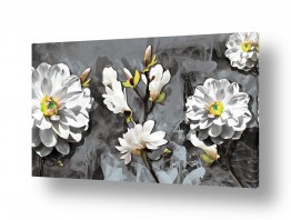 פרחים גבעולים | פריחה לבנה בחלקים