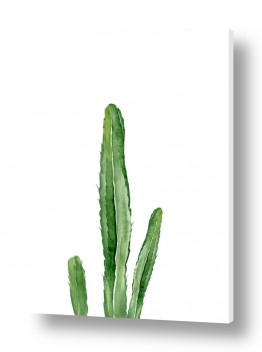 צמחים עלה | קקטוס ירוק מודרני