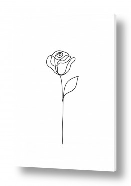 איורים ורישומים ציור בקו אחד | פרח נקי בקו