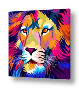 חיות בר אריה | אריה צבעוני