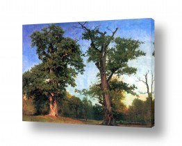 אמנים מפורסמים אלברט בירשטאדט | Albert Bierstadt 054