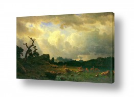 אמנים מפורסמים אלברט בירשטאדט | Albert Bierstadt 057
