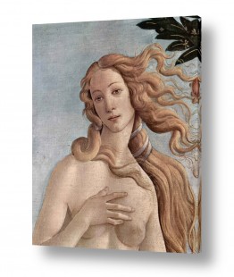 גלריית תמונות אוסף | Botticelli Sandro 026