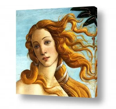 תמונות לסלון תמונות קנבס לסלון | Botticelli Sandro 048