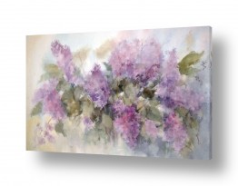ציורים ציור טבע דומם | לילך-  פרחים סגולים