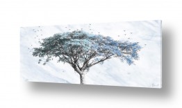 תמונות לפי נושאים צח | SPIRITUAL TREE 