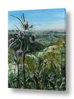 ציורים דוד פיש | ברקן קוצני