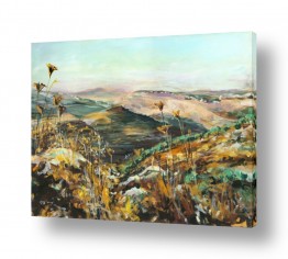 ציורים דוד פיש | מדרונות שומרון