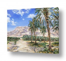 קולקציות תמונות בחלקים | דקלים בערבה