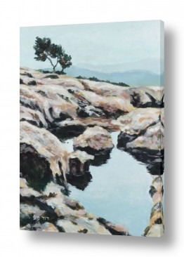 הרים סלעים | שלולית חורף